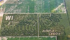Corn maze coupons idaho